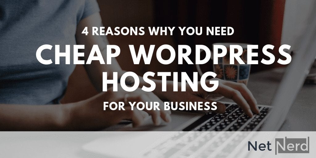 reasons why you need cheap wordpress hosting, person working on laptop