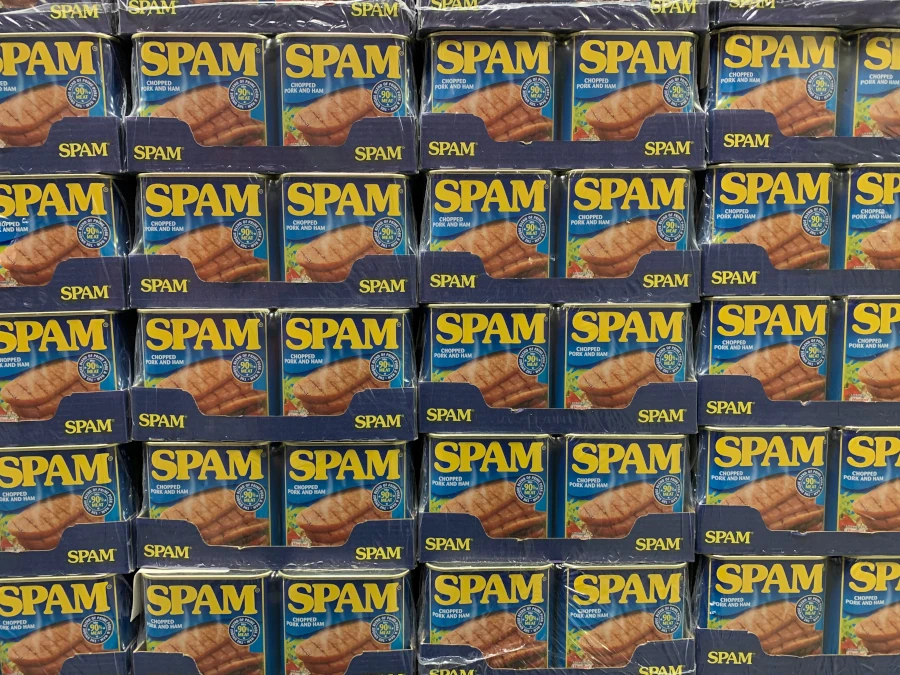 Why Emails Go to Spam or Junk Folders