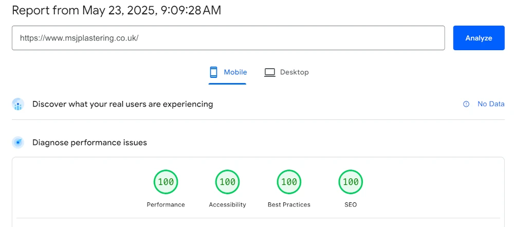 good pagespeed insight results example