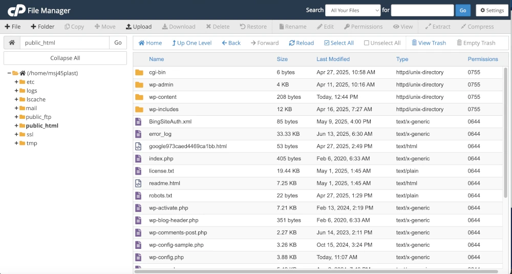 WordPress files and directories