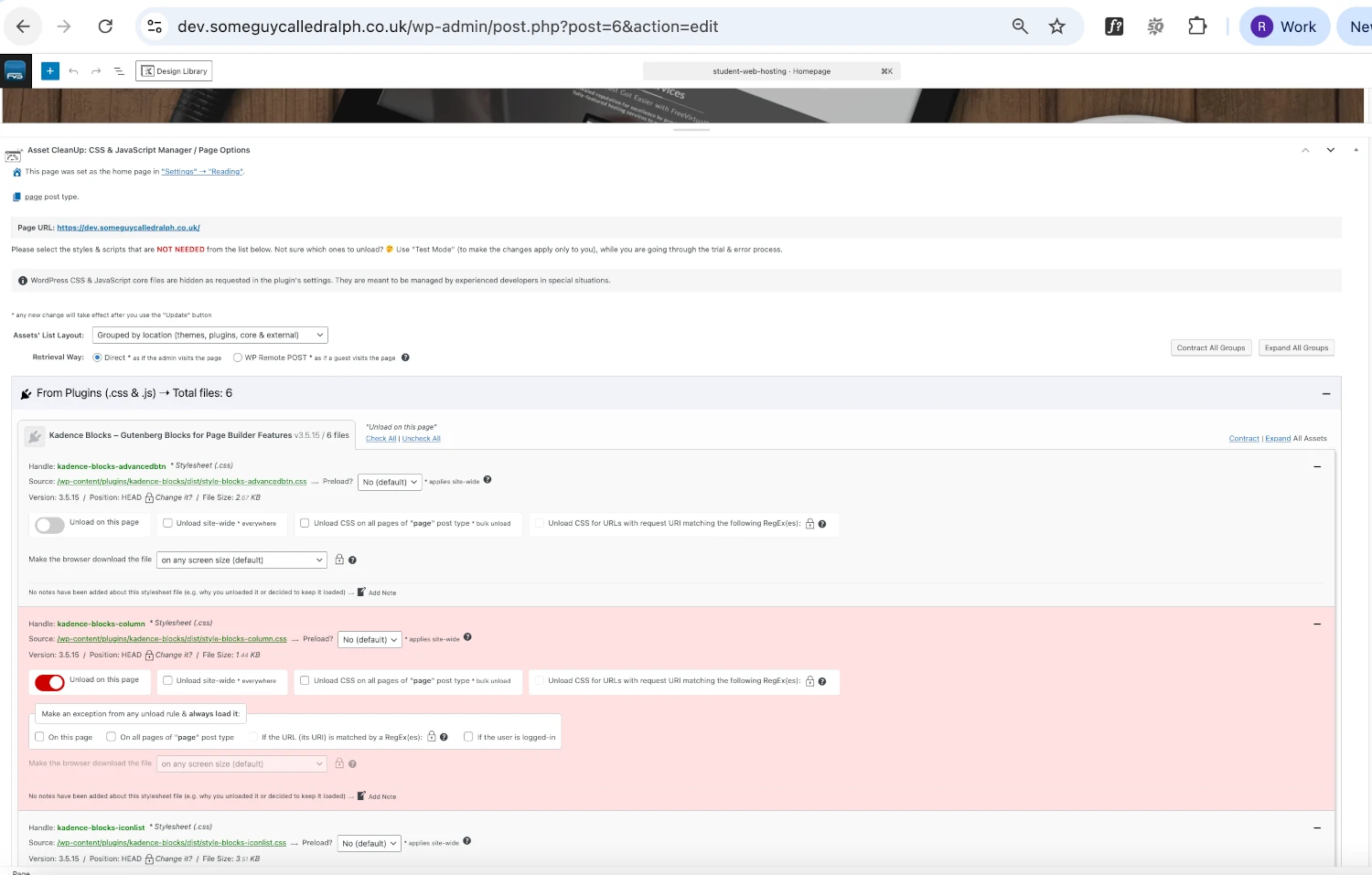 asset clean up wordpress eliminate render blocking resources
