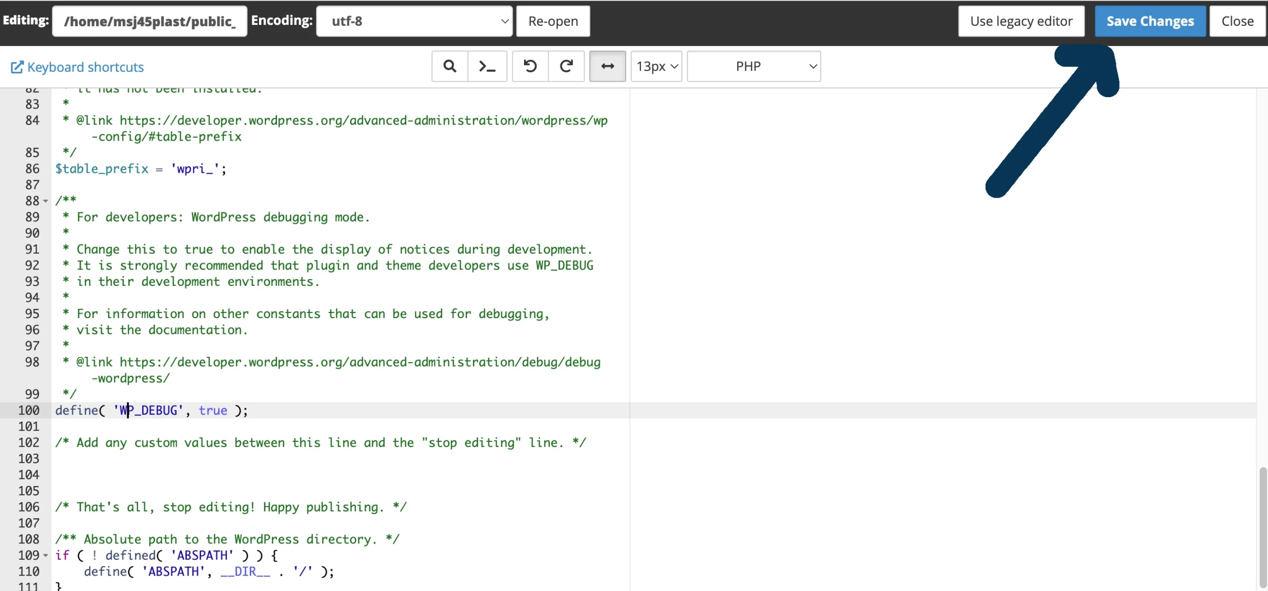 enable wp debug wp-config save chaanges