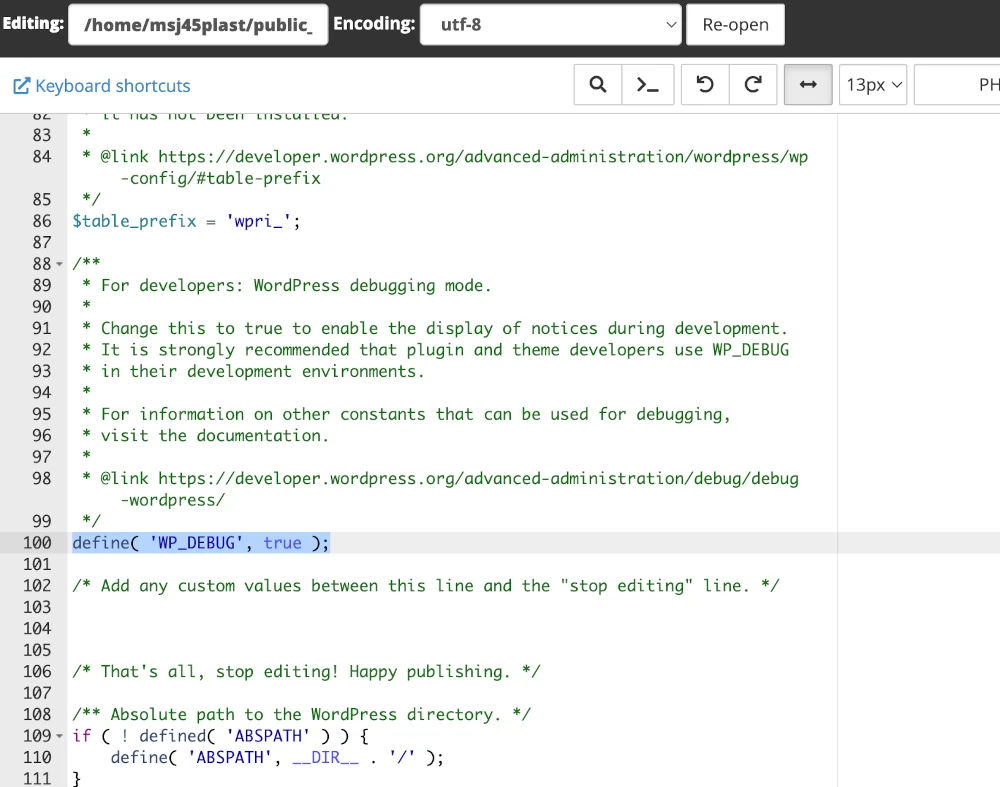 enable wp debug wp-config true