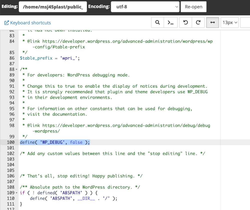 enable wp debug wp-config