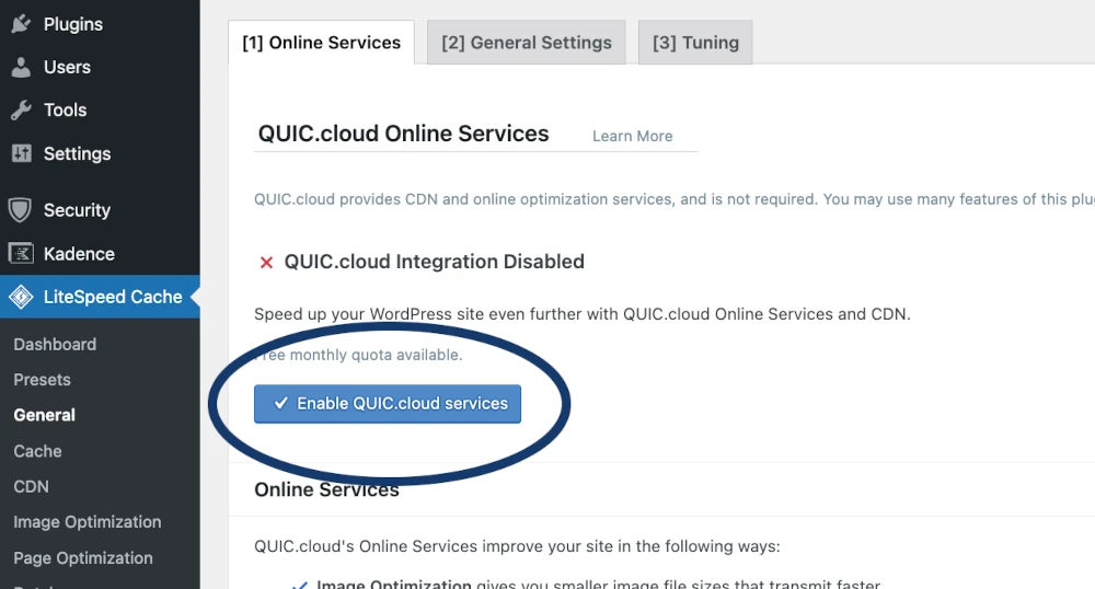 wordpress eliminate render blocking resources litespeed cache