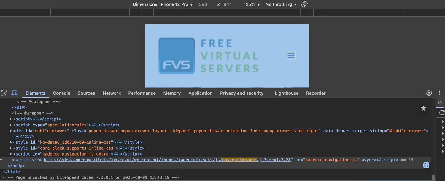 litespeed cache debug JS combine wordpress
