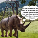 Optimising Google Fonts in WordPress