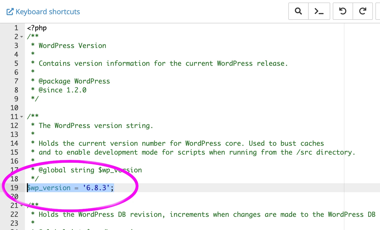 Check wordpress version