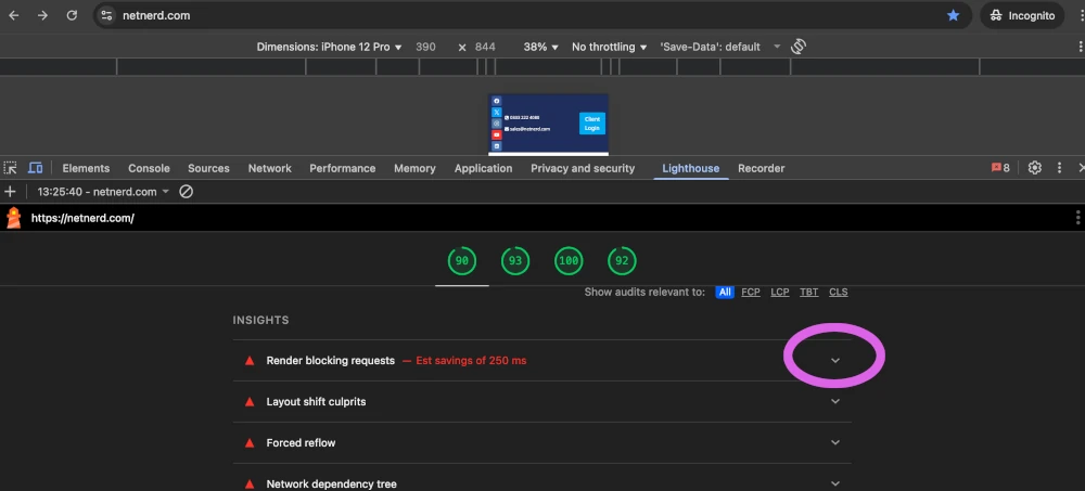 chrome lighthouse insights