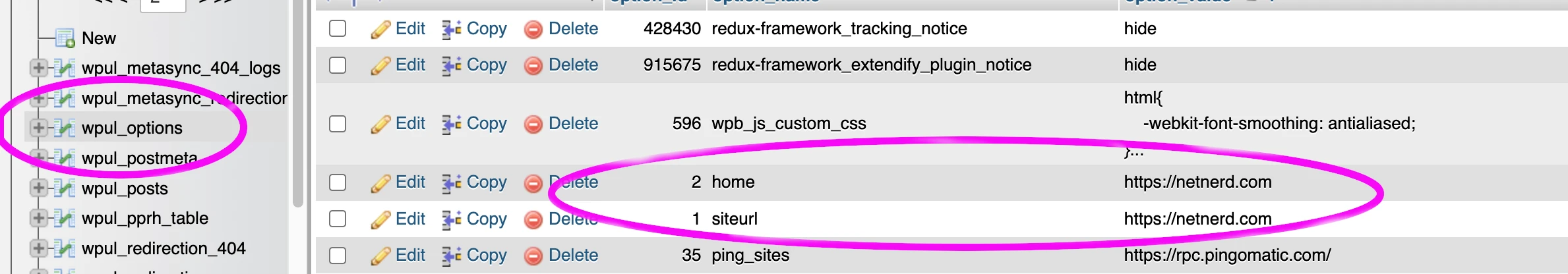 siteurl and home values in options table