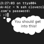 How to use and install WP-CLI