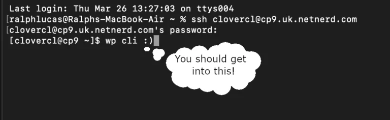 How to use and install WP-CLI
