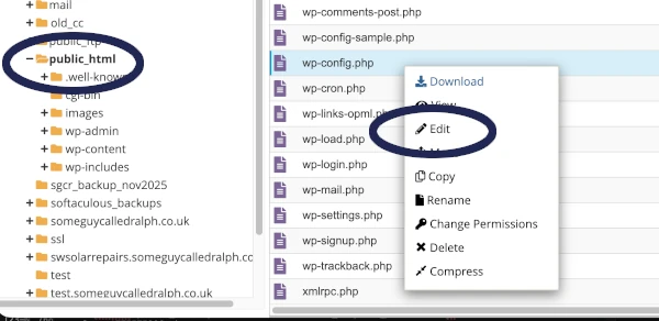 cpanel file manager edit wp config.php
