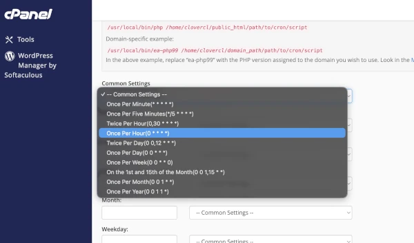 cpanel cron jobs once per hour